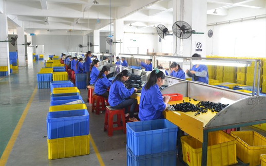 專(zhuān)業(yè)的生產(chǎn)管理團(tuán)隊(duì) 專(zhuān)業(yè)的生產(chǎn)管理團(tuán)隊(duì)